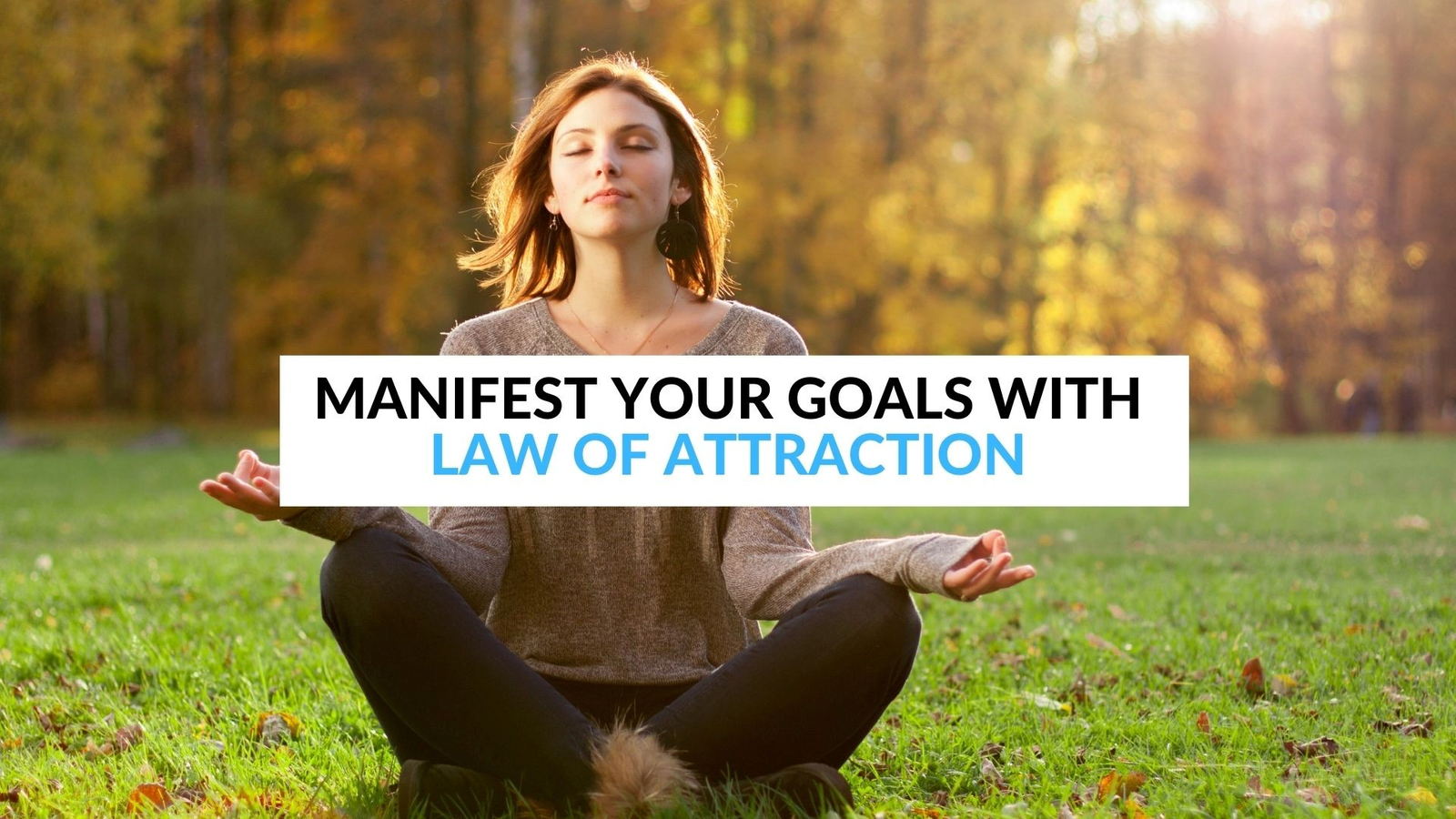 Attraction to Manifest