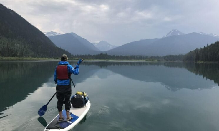 Paddle boards