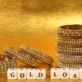 Jewel Loan Interest